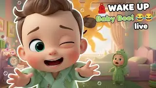 🔴 LIVE Wake Up & Play! Baby Boo Morning Song + Johny Johny