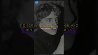 Выкуп за внука Tg - Kodex666 #truecrime  #СерийныеУбийцы #Маньяки #трукрайм  #криминал  #Детектив
