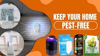 Best Pest Control Traps - Stop Pests In Their Tracks Quickly
