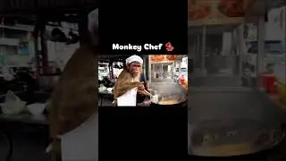 monkey chef vlog....#monkeysocute #monkeyvideo #monkeyvlogs