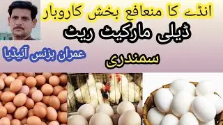 eggs  wholesale business  small investment  big profit  in Pakistan#egg #business 