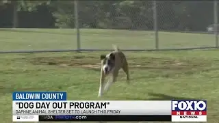 Daphne Animal Shelter launching initiative to improve mental health of dogs