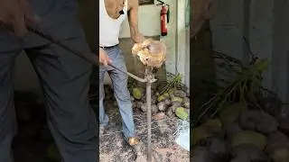 Coconut Peeling Manual Machine 🥥 #india #machine #learning #mechanical #coconut #viral #job #shorts