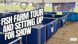 FISH FARM TOUR AND FISH SHOW PREPARATION