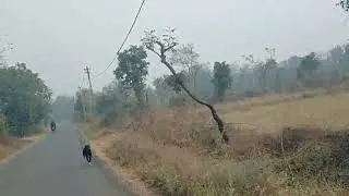 Cute dog # video #sweetdog #streetdog #