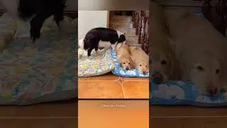The True Friendship😍