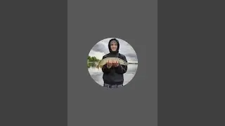 Playing fortnite Forza and Minecraft while talking to viewers