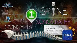 SPINE SONOGRAPHY. PART 1 (GENERAL CONCEPTS)