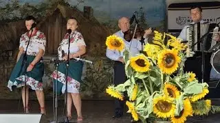 10 08 2025  Relacja na żywo  Zespół KGW HEKTARIANKI na scenie w Iłży. 
