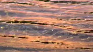 Egypt | Kom Ombo | Spirit Quest Tours