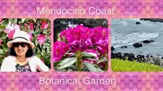 2021 Best Place to Visit  in USA || Mendocino Coast Botanical Garden || California || USA
