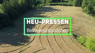 Heu - Pressen - Biodiversit&auml;tsfl&auml;chen - 2025