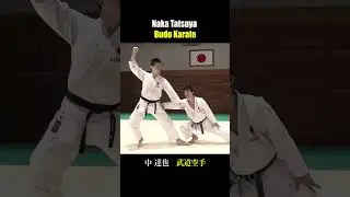 Force Distribution to Left and Right Hands /BUDO KARATE