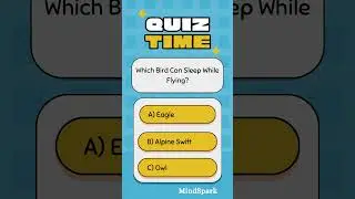Which Bird Can Sleep While Flying? | Mind Spark Quiz Challenge