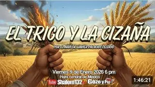 📜📚🌾 EL TRIGO Y LA CIZAÑA 🌾📚📜 POR NUESTRO AMADO NAVÍ DR JAVIER PALACIOS CELORIO 🌾📚📜