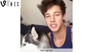 New Cameron Dallas Vines Compilation 2016 - New Vines