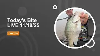 Today's Bite 11/18/25