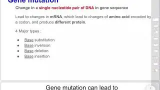 Gene mutation: effect