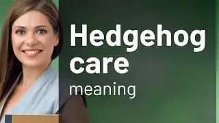 Caring for Hedgehogs: A Beginner's Guide