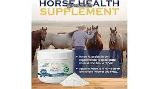 100-Day Supply Horse XL Supplement Review: Does It Really Improve Joint & Hoof Health?