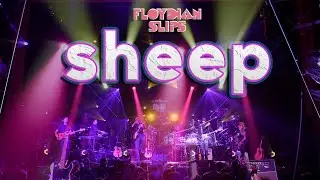 Sheep RevHall 2024