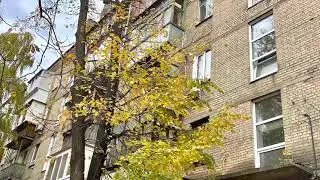 Сдана ✅ Аренда✅Печерск 1к квартира ул Джона Маккейна (бывшая Ивана Кудри) 37 А!⠀