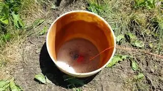 Gas Fireball Experiment 1 part 1