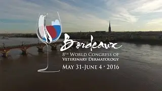 Highlights of the 8th World Congress of Veterinary Dermatology in Bordeaux
