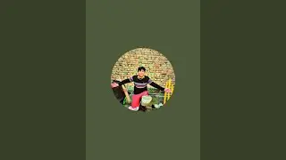 The Wicket Wire is live!