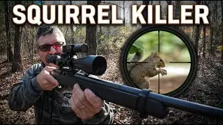 Охота на белок с винтовкой Ruger 10/22 (с оптическим прицелом)