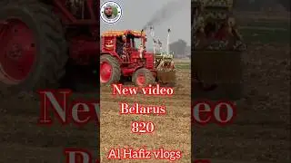 New video Belarus820|Al Hafiz Vlogs#shorts #farming #agriculture#vlogs #villagelife#skt#farmvillage