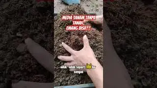 media tanam tanpa tanah emang bisa?? ya bisa?? #farmer #pertanian #agrikultur #farming