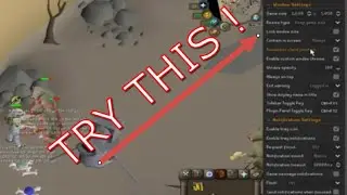 Runelite Window Resizable FULLSCREEN Try These Settings!
