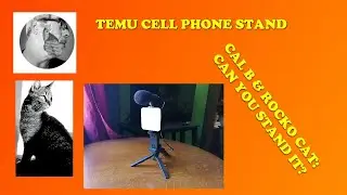 TEMU CELL PHONE STAND FOR VIDEO