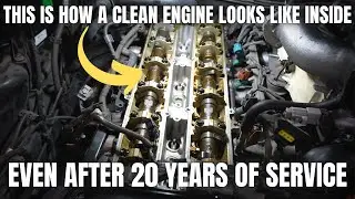 This is How a Clean Engine Looks Like Inside Even After 20 Years of Service