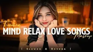 Mind Relax Lofi Songs | Slowed And Reverb Songs Playlists