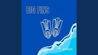 Big Fins
