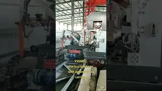 YSDMILL GROUP Vertical Band Saw Machine with Automatic Log Carriage.✨Professional Machine #sawmill
