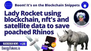 Lady Rocket using blockchain, nft's and satellite data to save poached Rhinos