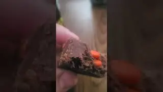 CWSG- a taste full of fudge packing in my mouth