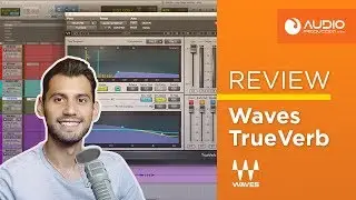 Review: Rese&ntilde;a Waves TrueVerb