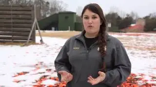 GMU's shooting club is right on target