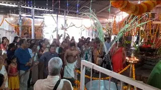 Chettikulangara amma Pongala Mahotsavam 