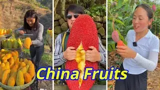 China Amazing fruits | Lovely fruit video 2022 | Delicious gardening fruits | fruits channel