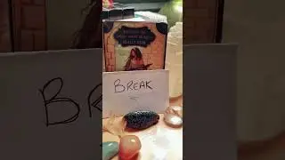Husband and Dog, in Spirit, connect with viewer Chelle, during Live Tiktok card pulls