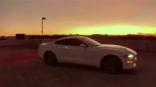 White Mustang - A short film by Chris Edge