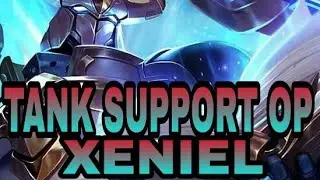 Xeniel , build tank support. Arena of valor.
