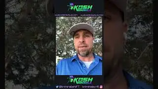 Kush Kriminals: A Legendary Debut with 420 NFTs!