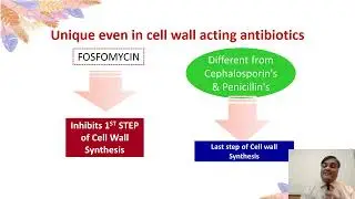 What make Fosfomycin a Unique antibacterial?