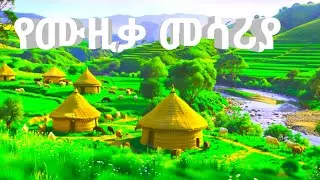 🌿🌿🍀The best  Clam Music for Reading, study , focus and more Concentration💚🌿Calm Classical | Bach 🌿🍀